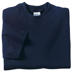 Gildan DryBlend T-Shirt (8000)